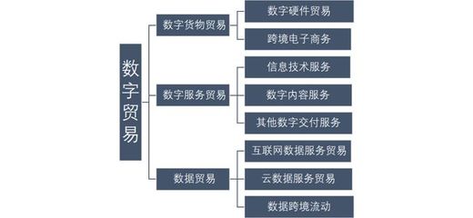 信通觀察丨“十四五”時期數(shù)字貿(mào)易發(fā)展與管理研究 互聯(lián)網(wǎng)數(shù)據(jù)服務的機遇與挑戰(zhàn)